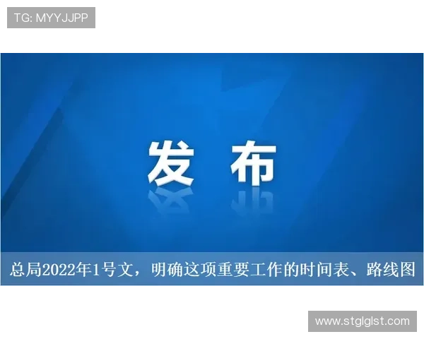 不同企业家类型的特点与成功之道分析探索