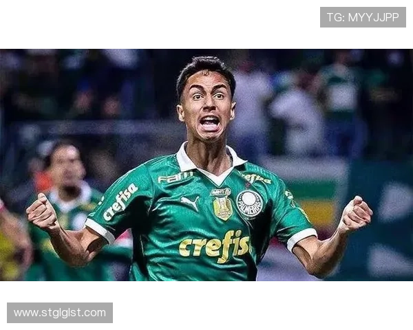 TA:皇马、阿森纳有意帕尔梅拉斯18岁后卫维托尔-雷斯 TA:皇马、阿森纳有意帕尔梅拉斯18岁后卫维托尔-雷斯